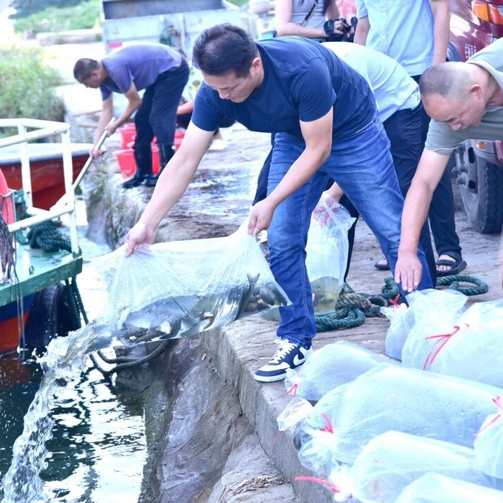 湘乡：80万尾原生鱼苗游进涟水