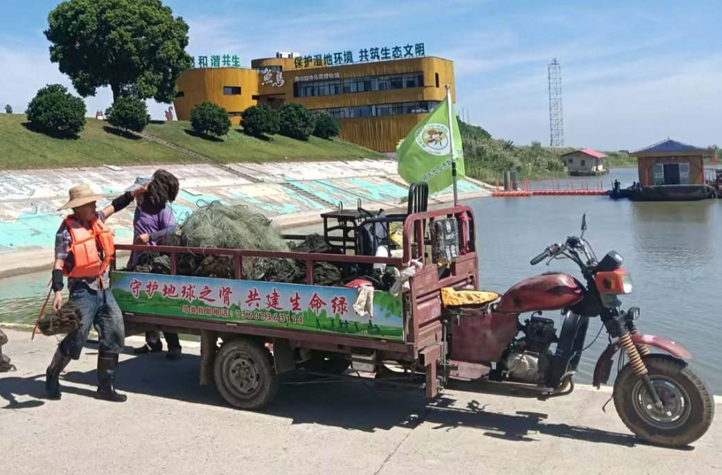 从 “舞步” 到 “守护步”：汉寿退休人员组队当绿色卫士，焕新青山湖堤岸