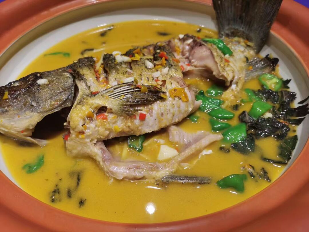 熊其雨专栏|开“盲盒”的鱼