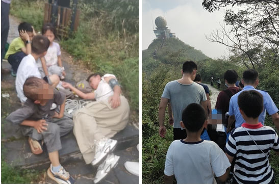 秋季蜂患高发 专家提醒：遇蜂勿拍打 蜇后速就医！