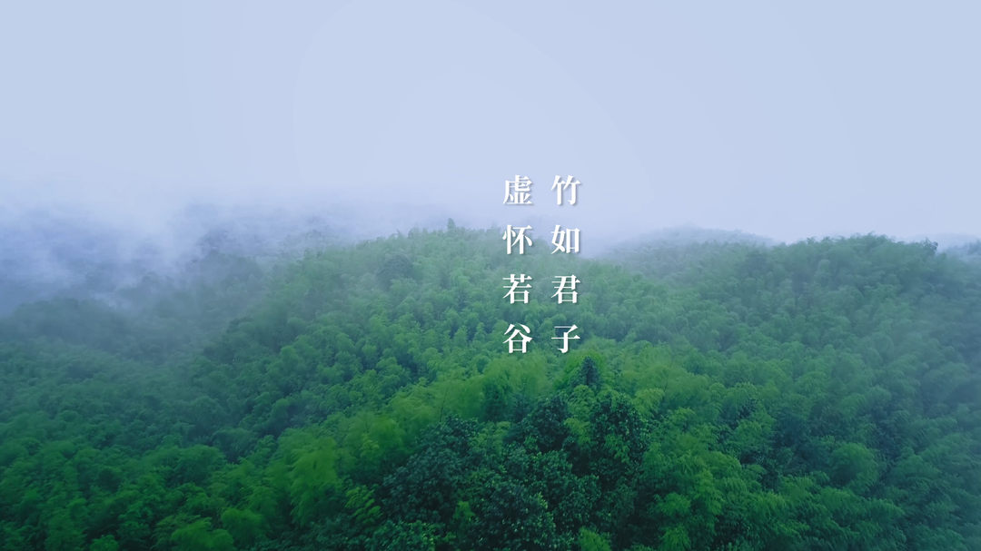 国网湖南省电力有限公司：竹光同辉