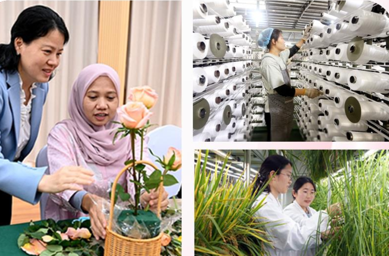 时政微观察丨树立全球妇女事业发展新的里程碑