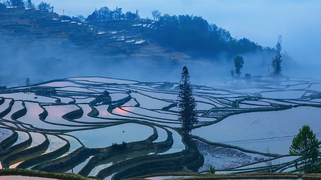 湖南瑶珍粮油有限公司：不变的粮心
