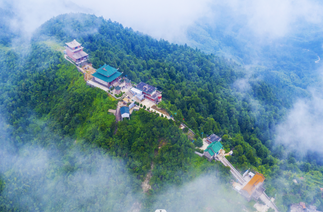 “森林防火拍客”守护青山无恙