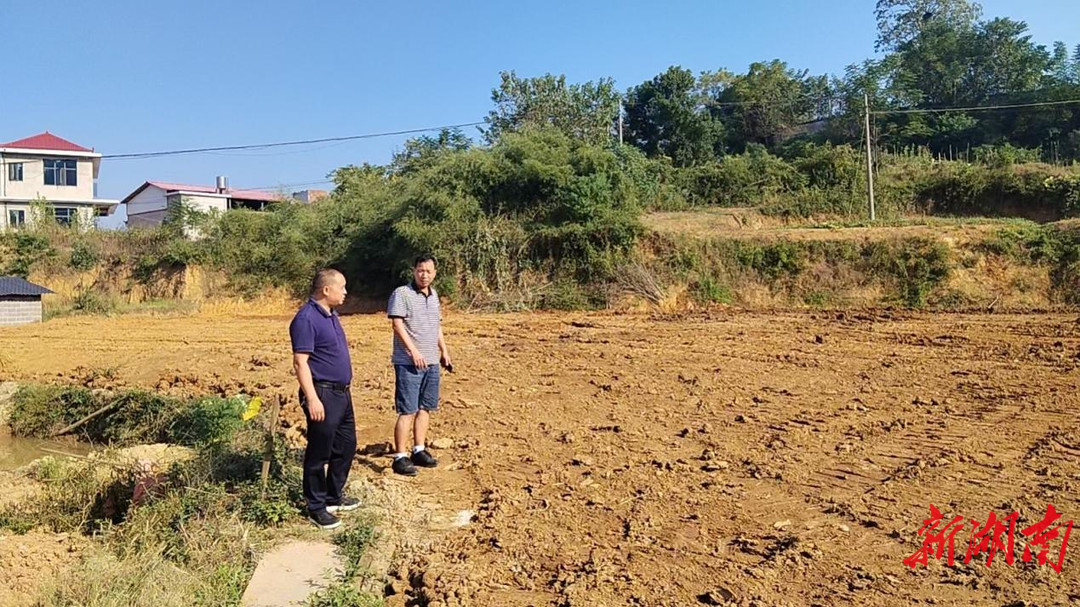杏子铺镇：昔日采砂撂荒地 今朝“对症”变粮仓