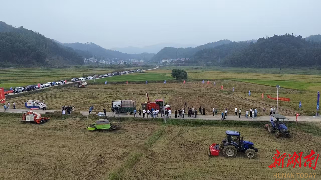 秸秆“废料”变“黄金” 桃江绿色农业添新引擎