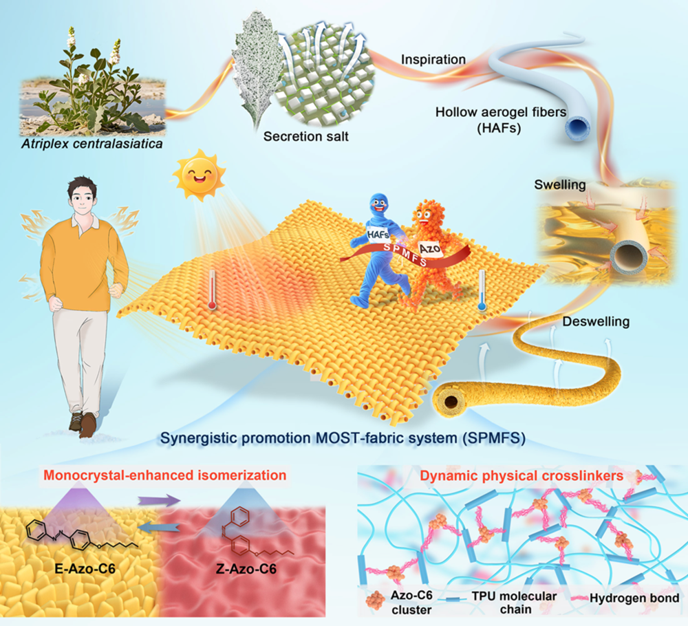 我国科学家研发仿生光热织物，既可秒速升温又能稳定耐用