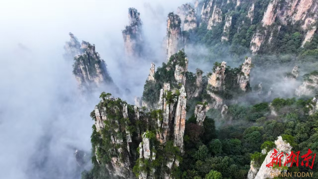 张家界错峰游热度高   天子山云海胜景醉游客   