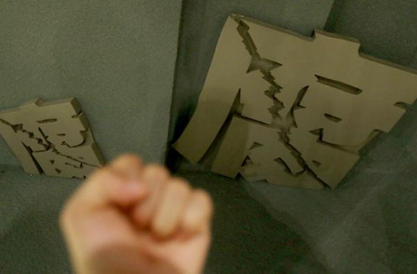 中国人寿财产保险股份有限公司原党委书记、总裁刘安林被开除党籍