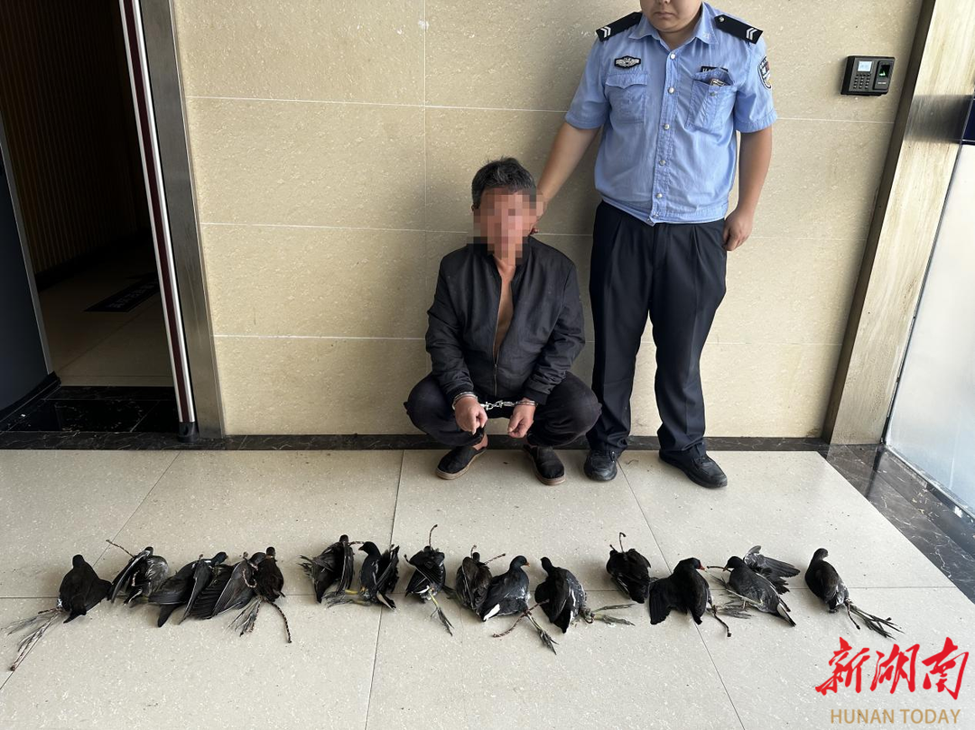 为“解馋”捕猎51只黑水鸡 大通湖一男子被刑拘
