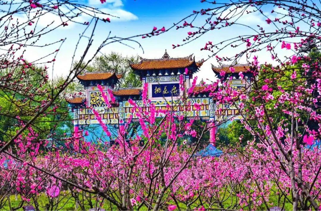 桃花源里可耕田