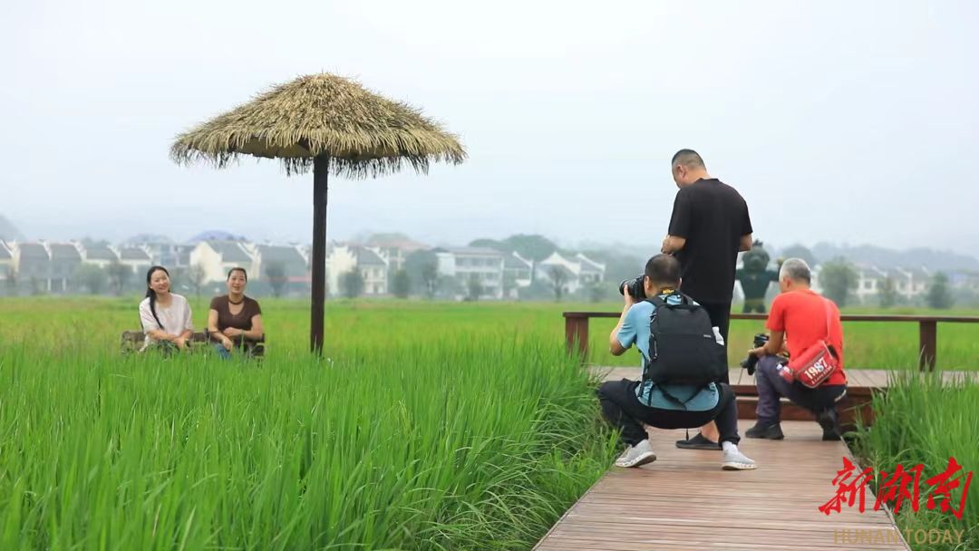 安仁县：稻浪千重绘金秋 农旅融合惠民生