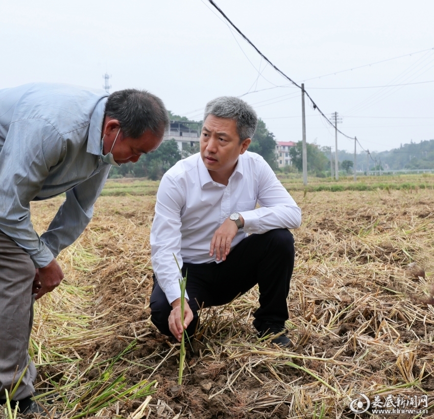 曾超群在娄星区调研：以务实举措推动全市生态环境质量持续改善