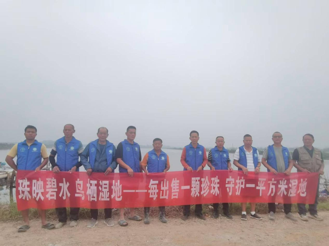 每售出一颗珍珠，守护一平方米湿地——从 “污染养殖” 到 “生态共生”，汉寿珍珠产业以“蚌”护湿地