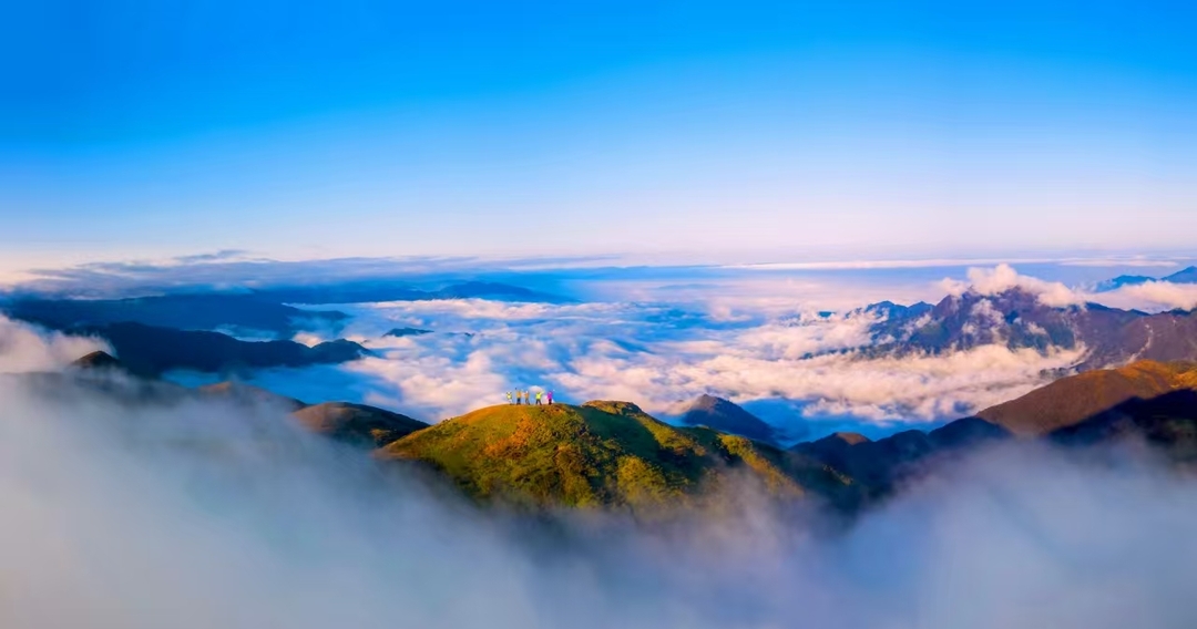 南山记事：人与自然和谐共荣，绘就生态与发展共生图景