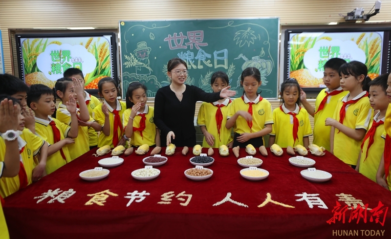 爱粮惜粮 从我做起