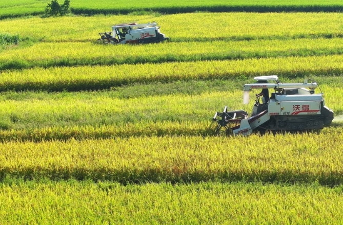 好评中国丨三湘沃野织新锦 金色答卷写华章