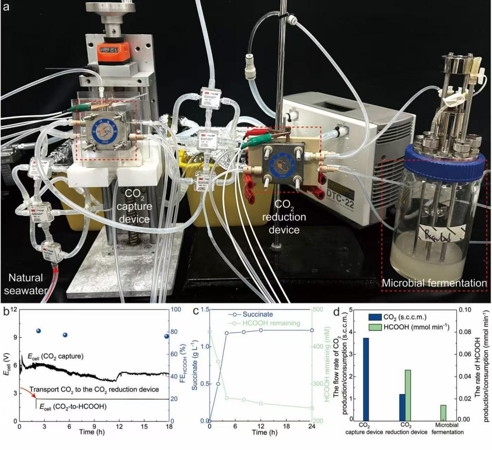 科学家实现海水中二氧化碳变生物塑料