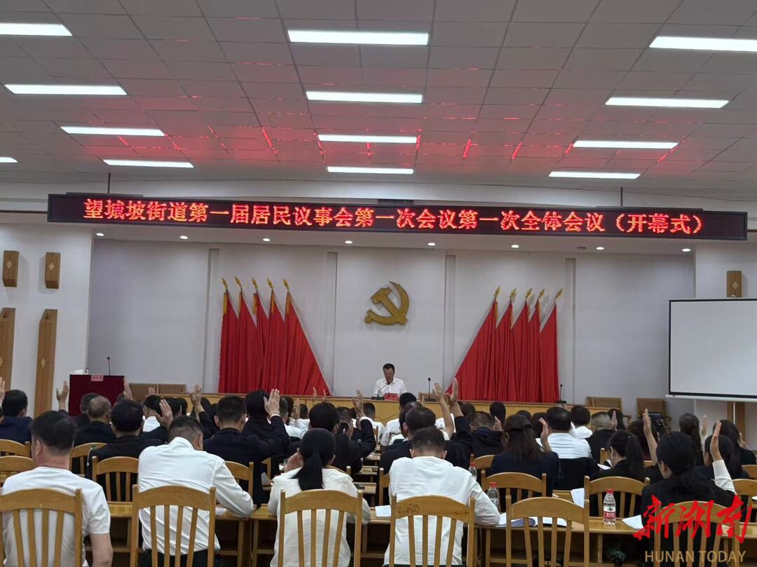 望城坡街道召开第一届居民议事会全体会议 推进基层民主政治建设
