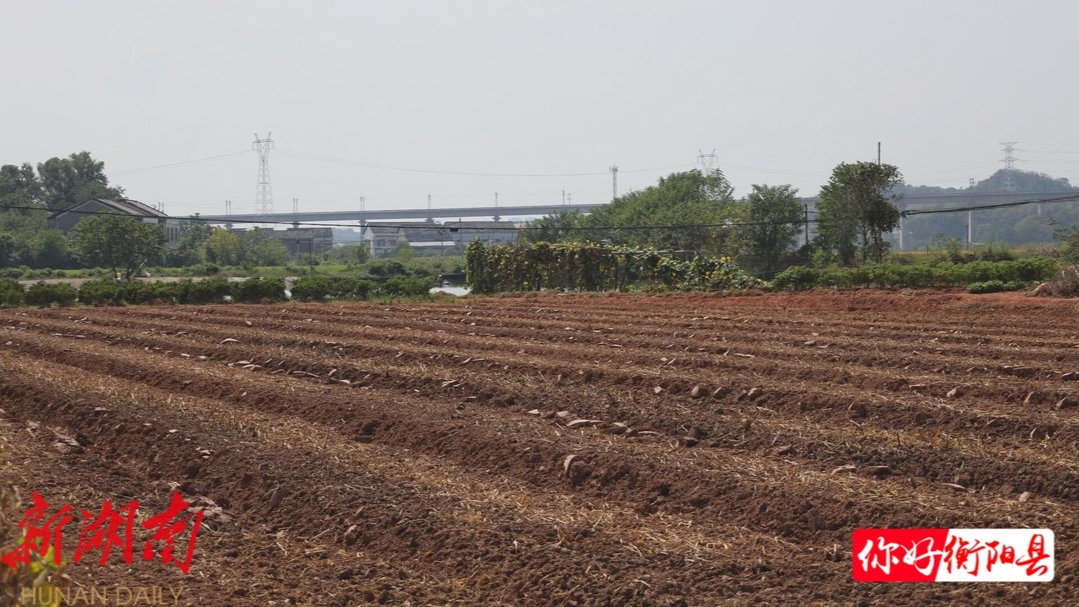 衡阳县水利局:开闸放水解民忧,护航秋冬油菜丰产路