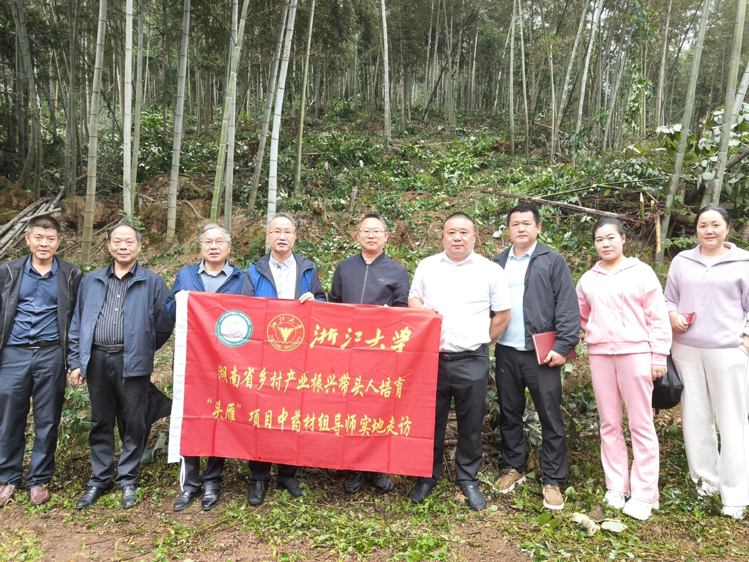 “头雁”领航  浙大团队深入星城共话乡村产业振兴新路径