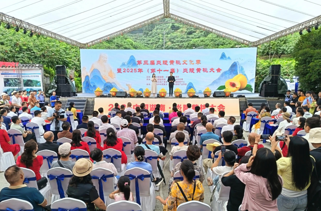 炎陵跻身全省县域经济先进县，文旅融合主导型排名第三