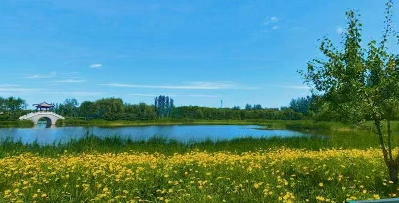 北京首个全域零碳公园，绿心5年迎客超1500万人次