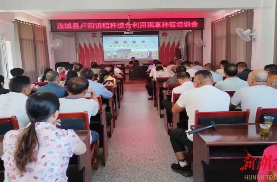 代表一线解心结，秸秆找到新归宿