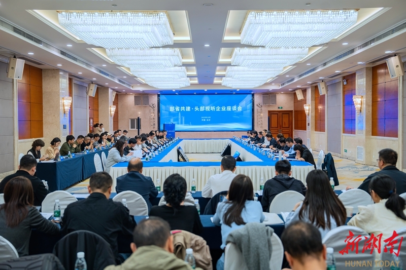 部省共建·头部视听企业座谈会在长沙召开