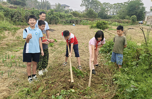 衡阳县玩市完小：田间地头变成劳动教育的“活课堂”‌