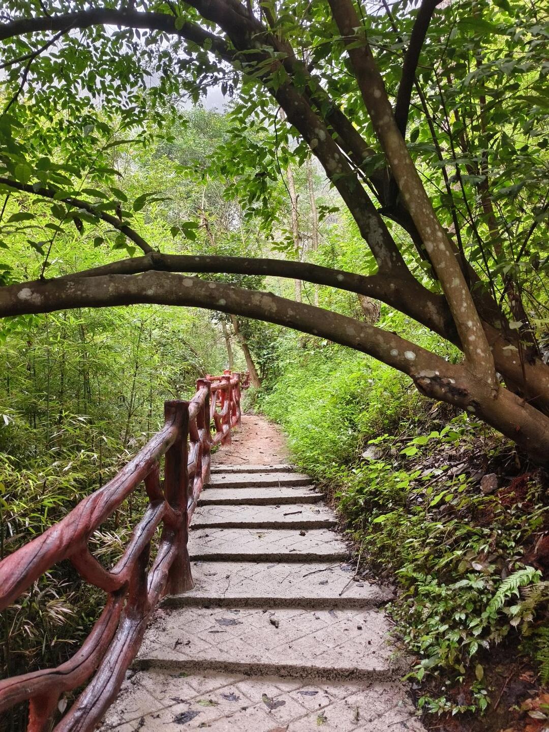 洞口：30万“小资金”撬动旅游发展“大效益”