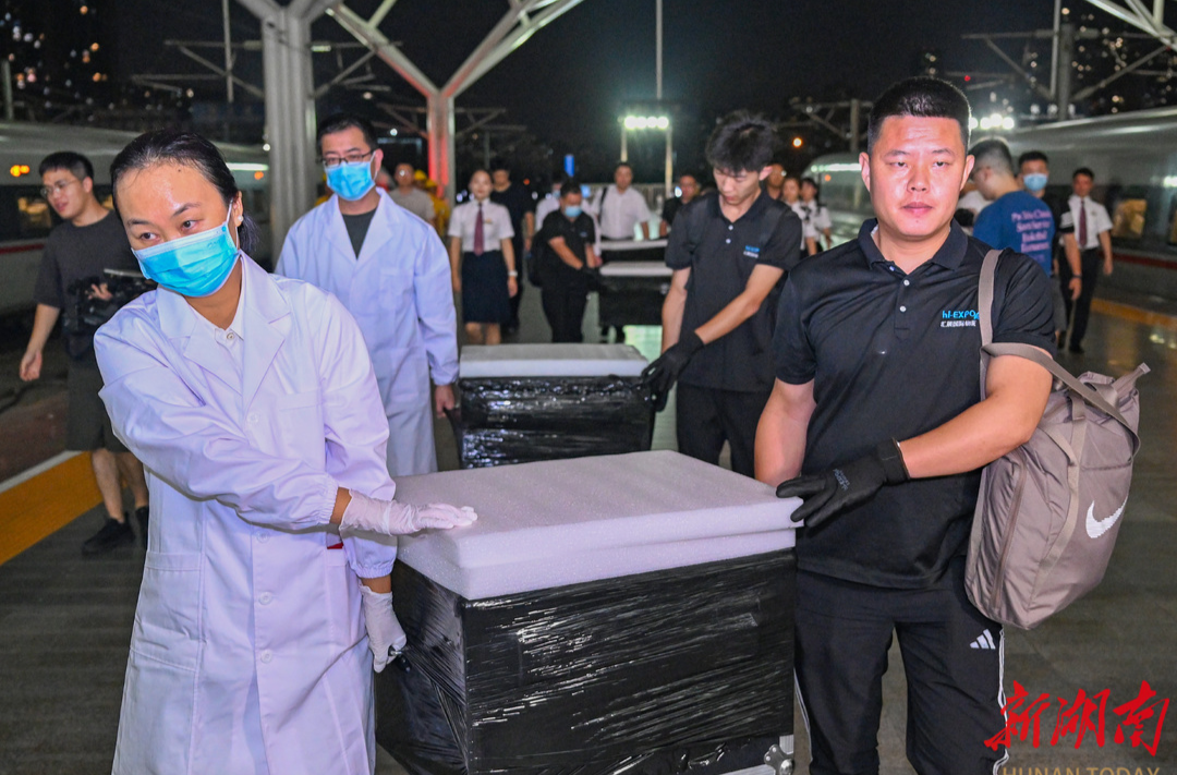 长沙子弹库战国帛书“回家”