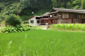 “湖南省年度十大典型避险避灾案例”发布，邵阳1例入选！