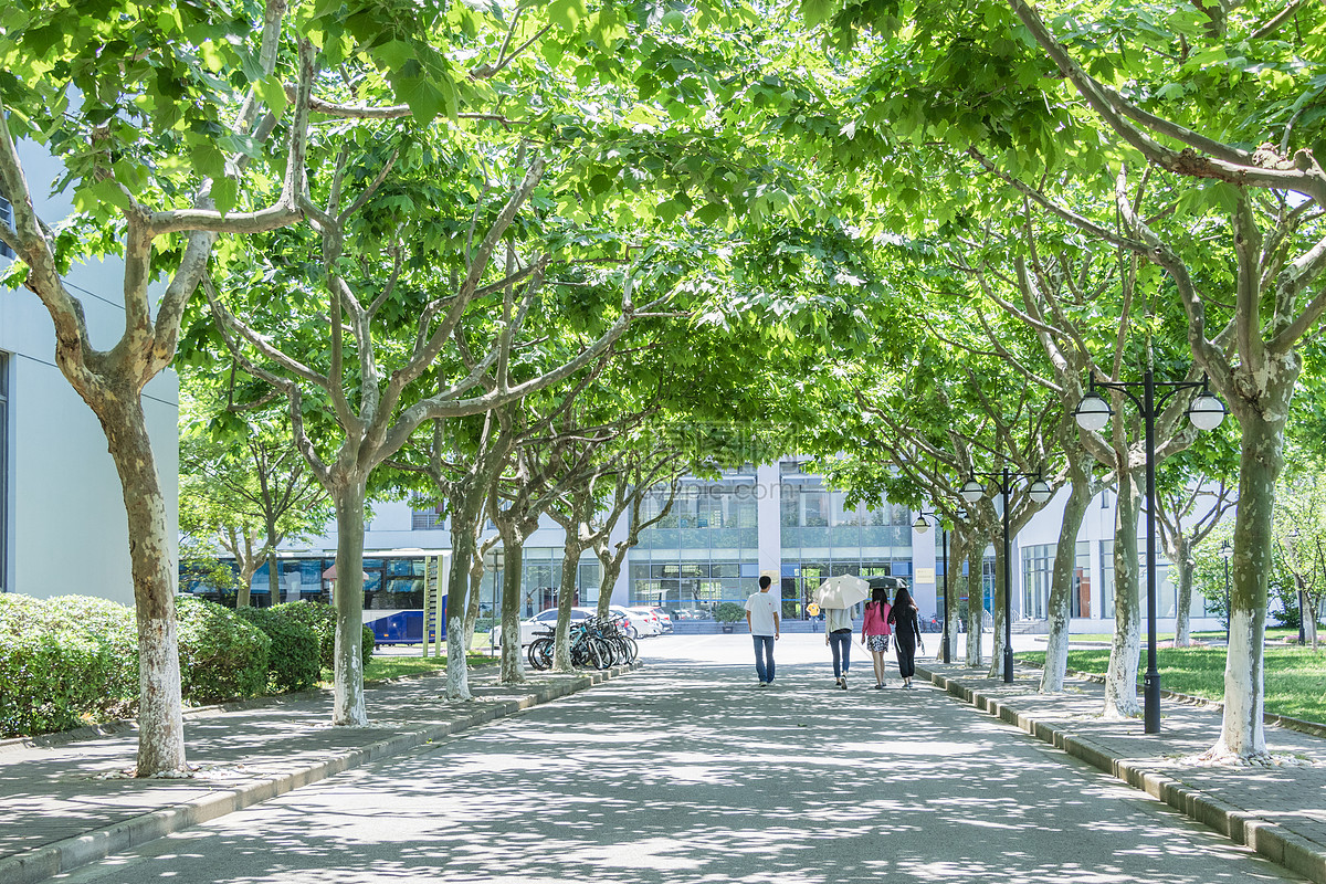 观点 | 大学校园不是交通安全管理“飞地”