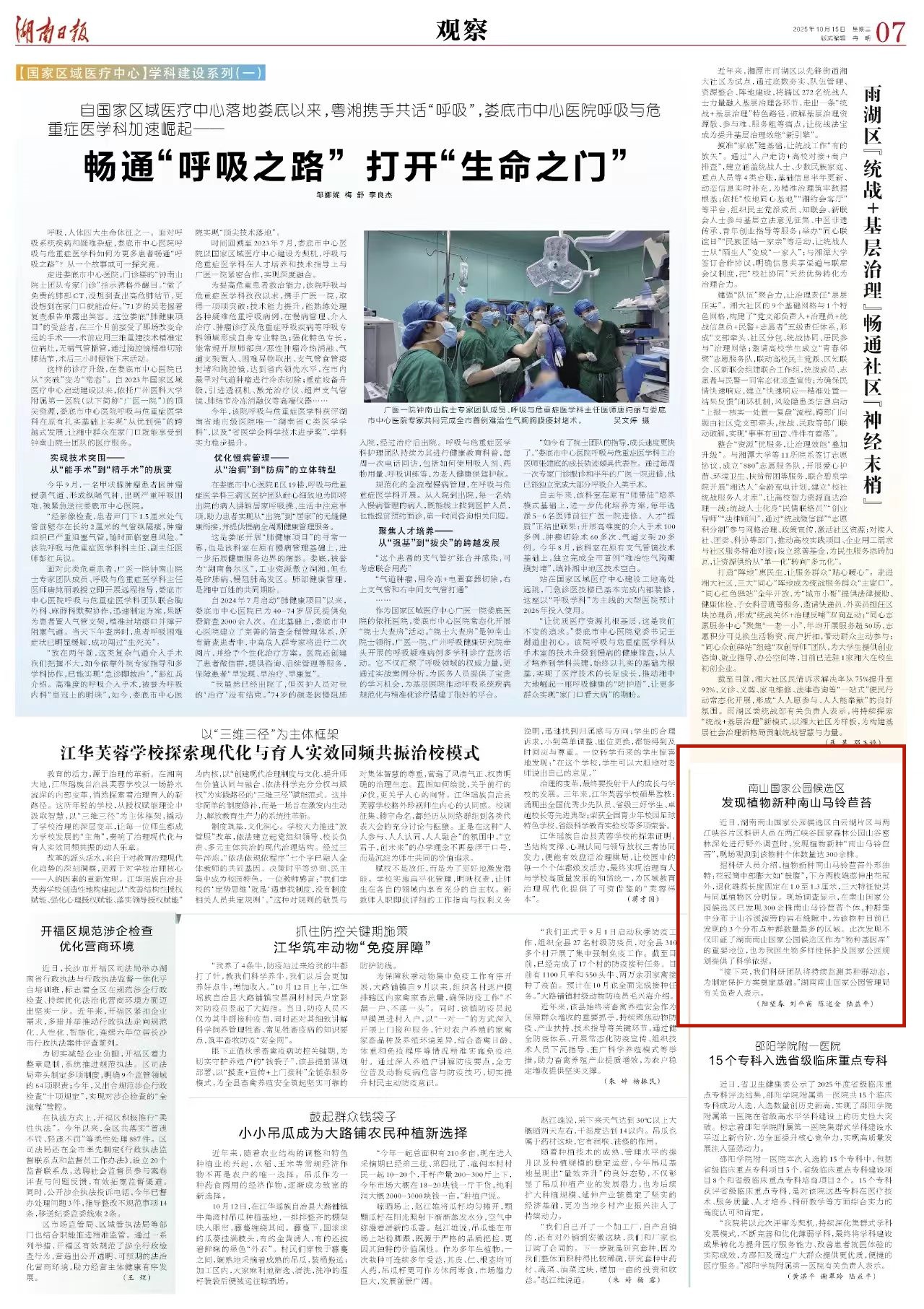 南山国家公园候选区发现植物新种南山马铃苣苔 | 湖南日报
