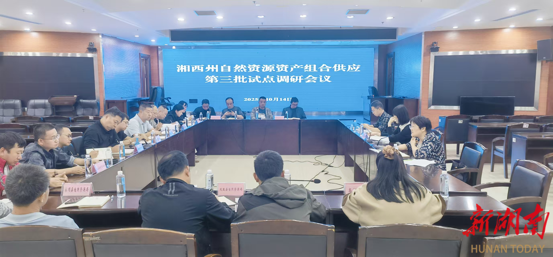 湘西州自然资源资产组合供应第三批试点工作怎么做？这场会议给出答案
