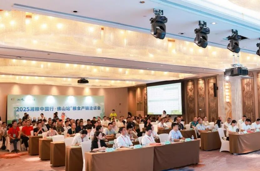 报！郴州、佛山喜结“粮”缘