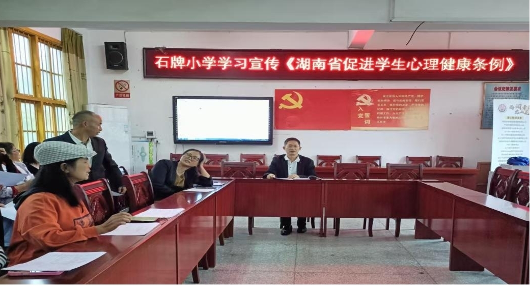 龙山县石牌镇中心小学开展专题学习活动