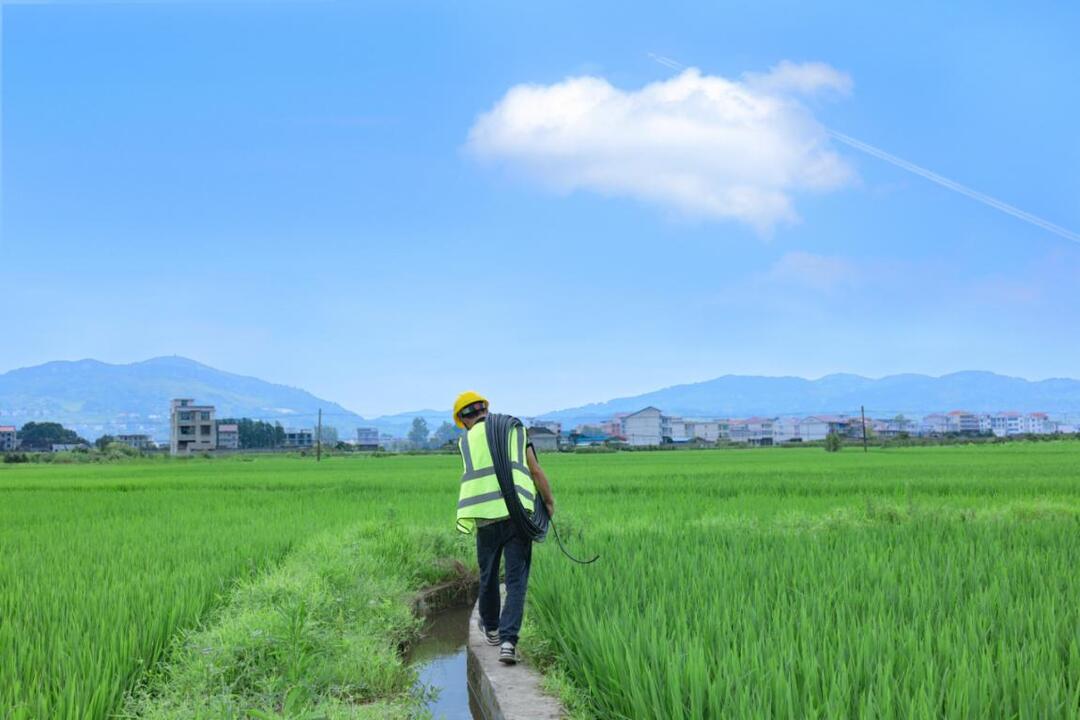 从“靠天吃饭”到“看屏管理”!湖南移动助力农业数字化转型