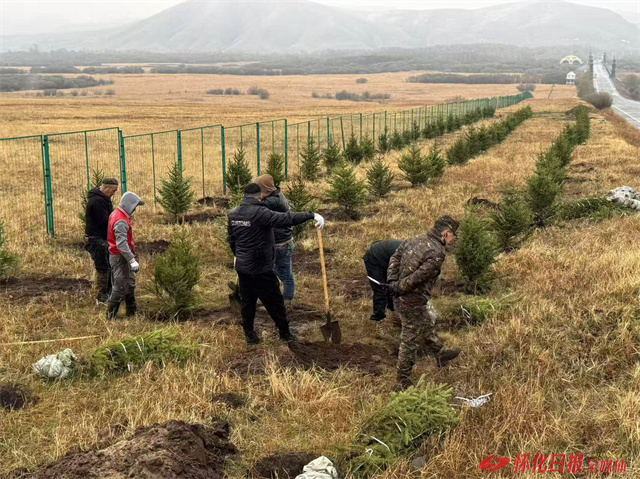 Letter of Thanks from Mongolia to Huaihua for Fir Sapling Donation