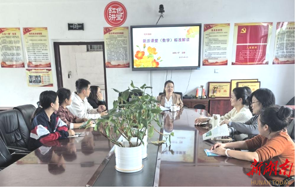 芦淞区龙泉小学举办数学教学成果培育与教师素养提升活动