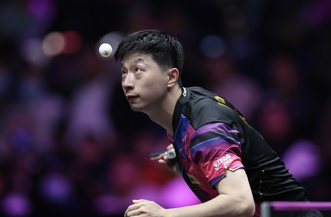 全运会乒乓球运动员报项公示 马龙樊振东孙颖莎参加这些项目