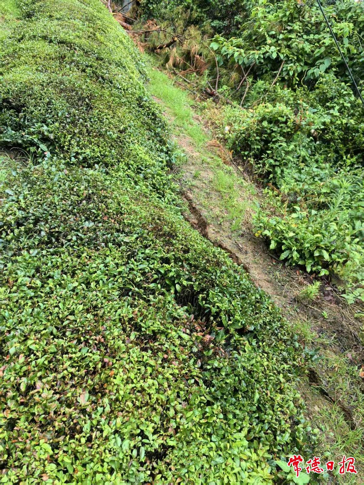 湖南发布2025年度十大典型避险案例 石门成功避险山体滑坡案例入选
