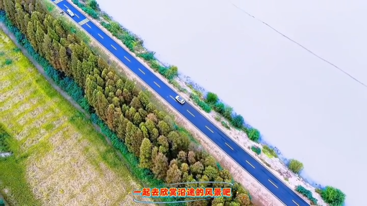 大通湖区南岸环湖道路基本建成，可漫步、骑行、观鸟、露营