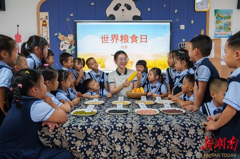 图集|爱粮惜粮