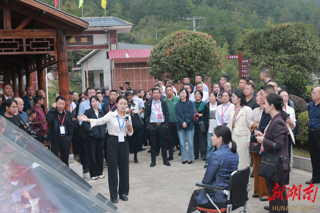 2025年湖南省困难重度残疾人集中照护工作座谈会召开