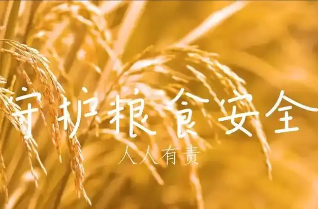 时习之｜粮食安全：习近平心中的头等大事
