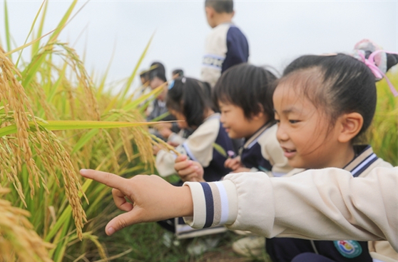 Kids Learn Knowledge of Food to Mark World Food Day