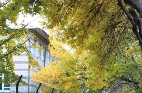 以学生为中心，建好、管好、用好高校心理咨询室