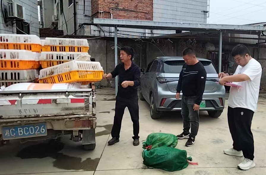 楠竹山镇罗金塘村:“物资赋能+产业助力”打通生产增收“最后一公里”